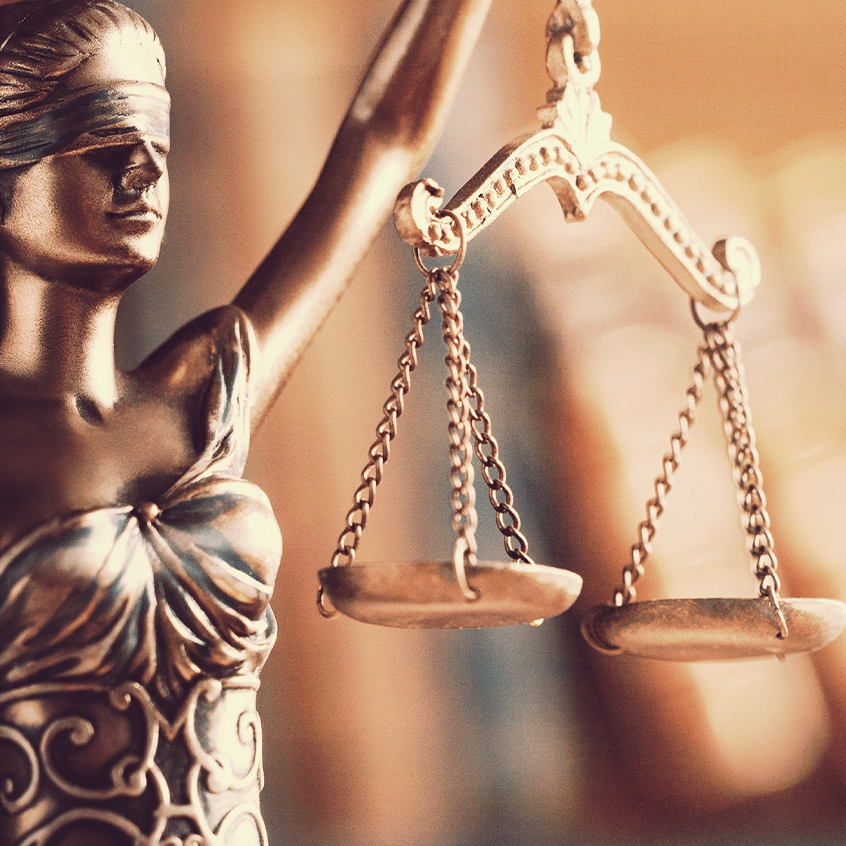 Expert Testimony & Litigation